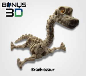 Brachiozaur – Szkielet