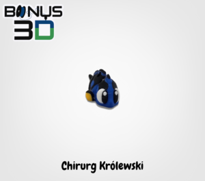 Chirurg Królewski