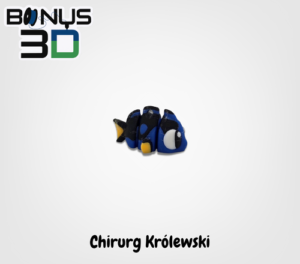Chirurg Królewski