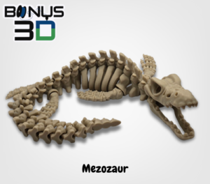 Mezozaur – Szkielet