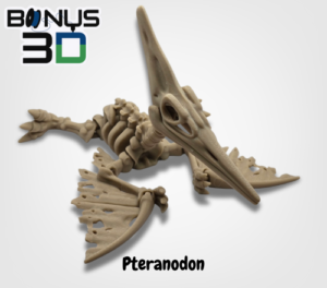 Pteranodon – Szkielet