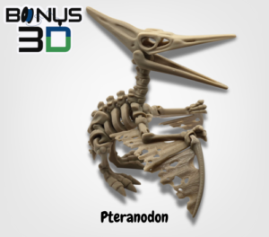 Pteranodon – Szkielet