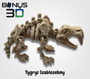 Tygrys Szablozębny – Szkielet